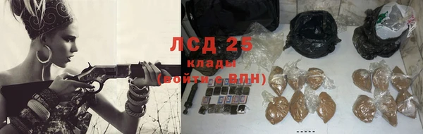 дмт Магас