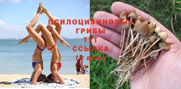 дмт Магас