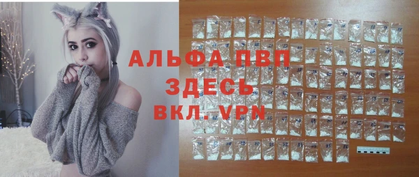 дмт Магас