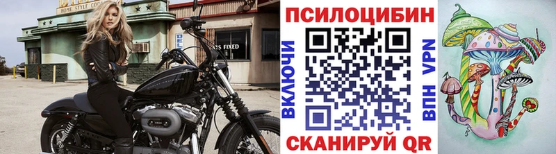 Галлюциногенные грибы прущие грибы  Купить закладки  Искитим 